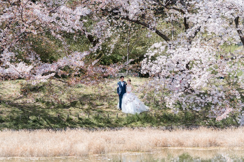 鶴見緑地公園　洋装前撮り　桜