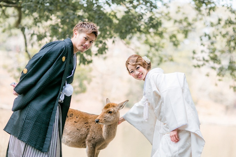 奈良公園　鹿と一緒に前撮り