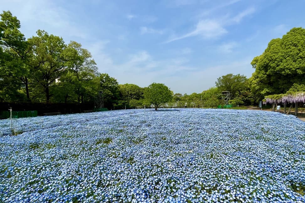 長居植物園